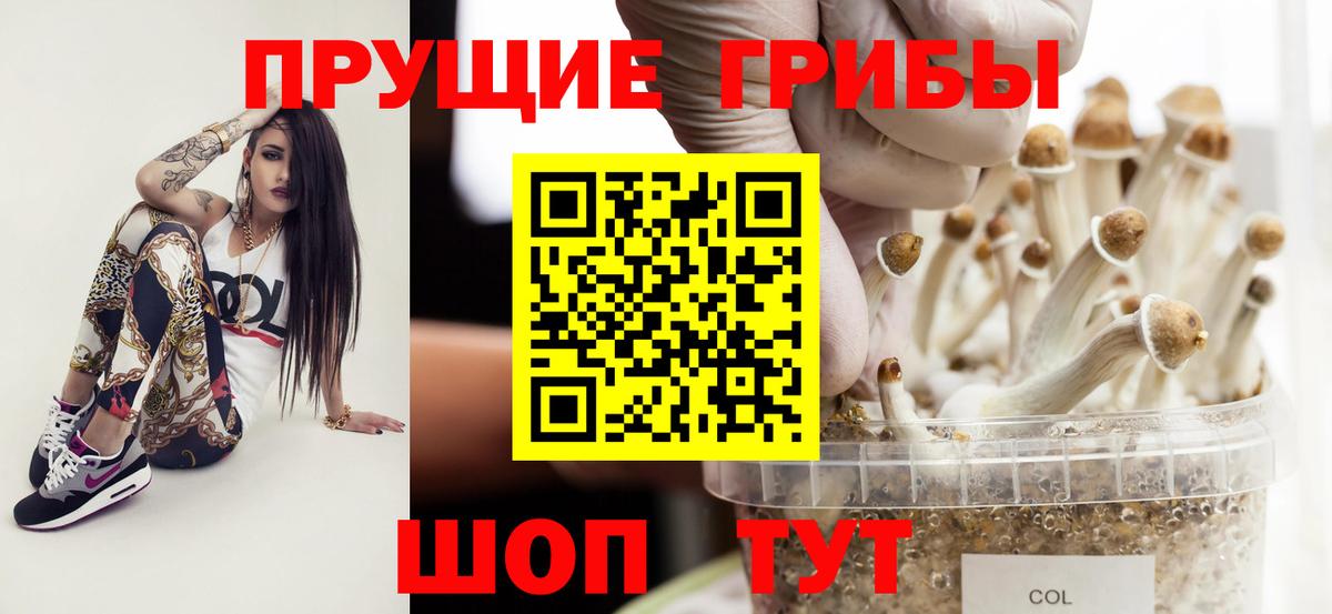 Псилоцибиновые грибы Magic Shrooms Зеленодольск